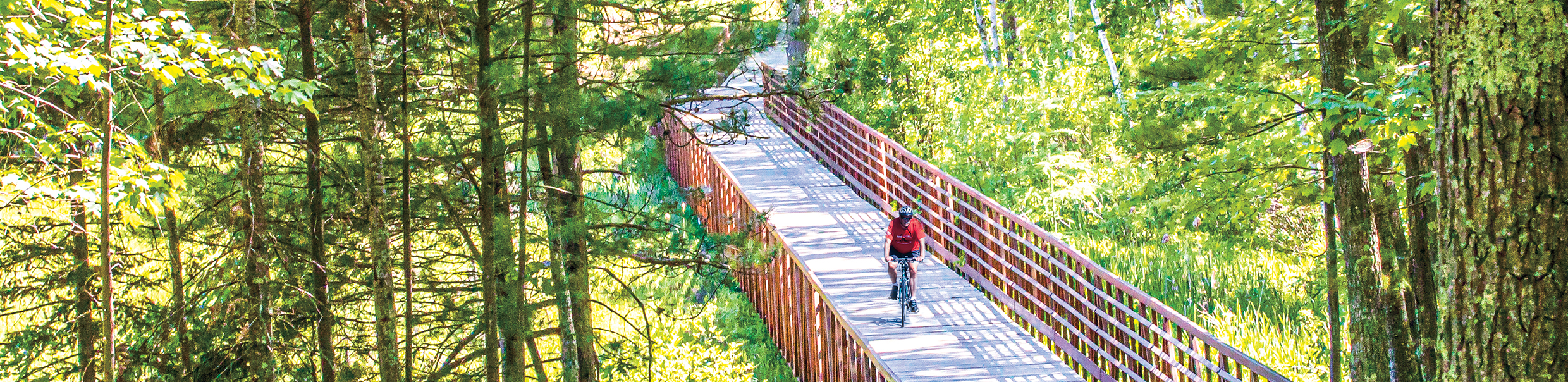 Summer fun is riding among the scenic aspens and pines.